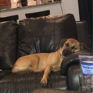 Meet your Posher, Pierre